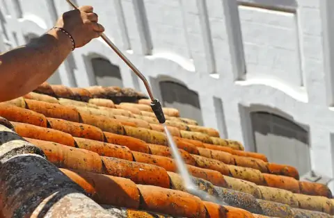 Nettoyage de toitures - Châtenoy-le-Royal